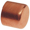 Nibco Tube Cap C - Wrot (1/2)